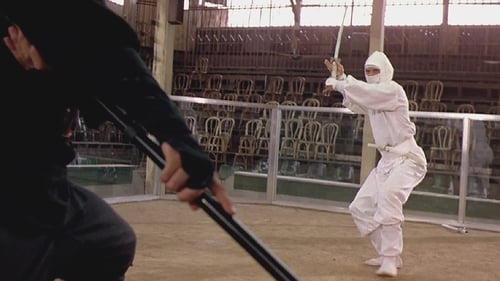 Ninja přichází download